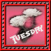 Tuesday