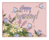 Tuesday