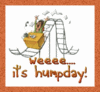 Wednesday