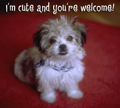 Your welcome