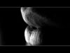 KISS BLACK BACKGROUND