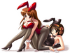 Bunny Girls