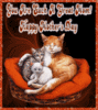 Mothers day kittens bed