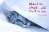 WHEN I AM AFRAID I WILL TRUST IN YOU.