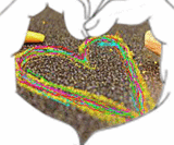 ANIMATED HEART