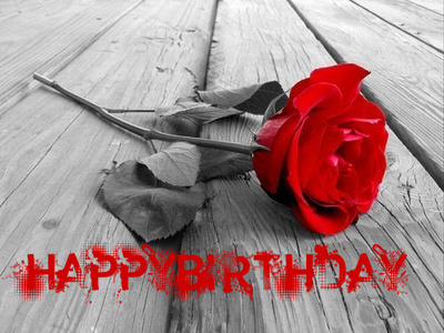 HAPPY BIRTHDAY, red rose, red text