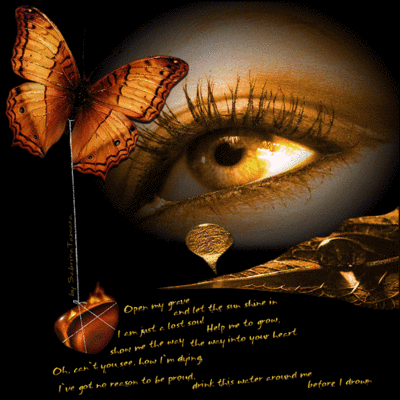 Quotes