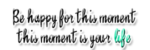Be happy for this moment this moment is your life