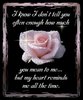 I know I don't tell you often enough how much you mean to me...