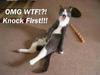 kat_wack_off