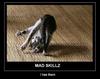 Mad_Skillz