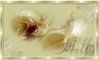 hello, gold rose