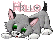 Hello, kitty