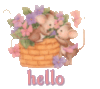 Hello