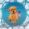 Happy 4th of July!
