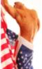 Happy 4th of July 