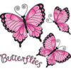 butterflies