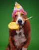 Happy B-day
