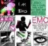emo like a goth only a lot less dark and much more harry potter