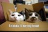 thanks to be my friend