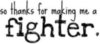 fighter
