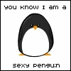 sexy penguin
