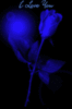 I love you , animated rose