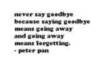 never say goodbye