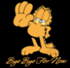 bye bye for now