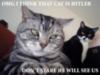 hitler cat