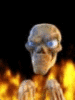 funny skull