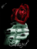 A rose for you