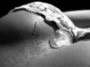 sexy, play with ice