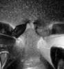kiss, rain