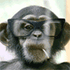 Smoking Monkey