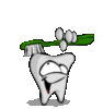 Tooth Brush