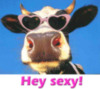 Hey Sexy