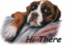 hi There