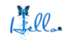 butterfly hello