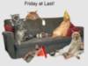 Friday party