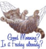good morning! is it Friday already!