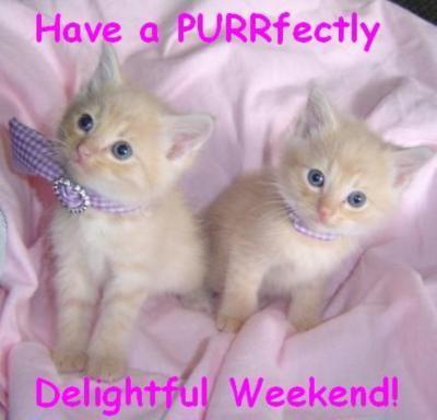 delightfull kittys