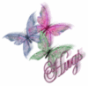 hugs glitter butterflies