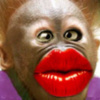 kiss