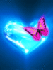 Butterfly Love