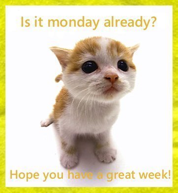is is Monday already?