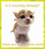 is is Monday already?