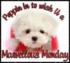 Monday!