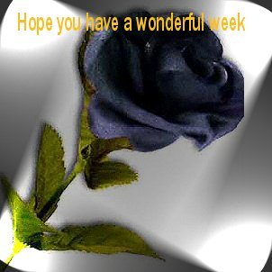 WONDERFUL WEEK
