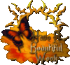 Beautiful week